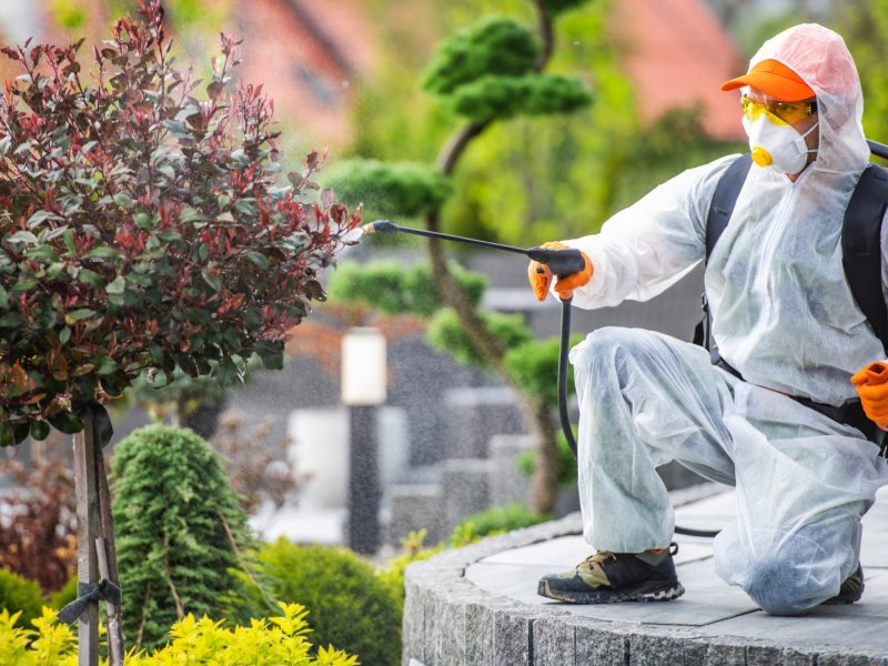 Basınsitesi Haşere İlaçlama